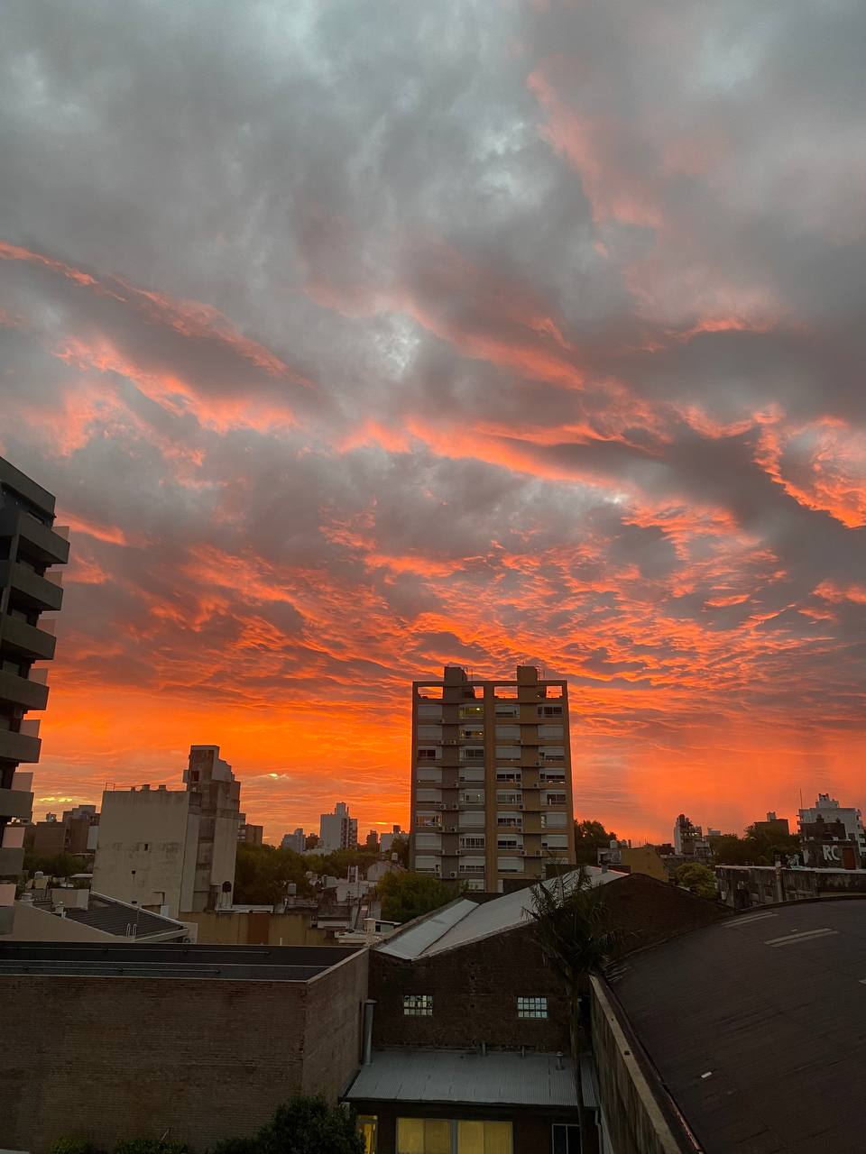 Rosario #2